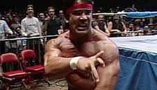 WWE Legends