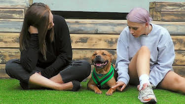 16:20: Hundehuset: Olivia og Vinnie | NRK 2 | 5/13 2026