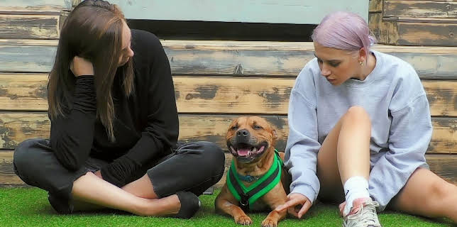 16:20: Hundehuset: Olivia og Vinnie | NRK 2 | 1/28 2026