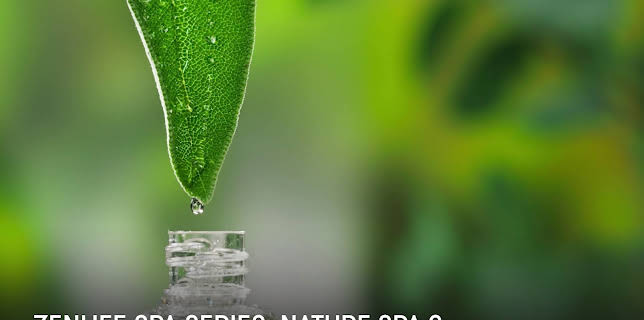 ZenLIFE Spa Series: Nature Spa 2 (2023)