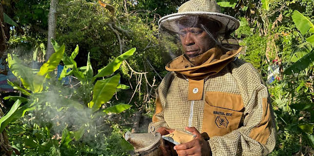 4:30 AM: Clive Myrie’s Caribbean Adventure (S1) | BBC News | 2/8 2026