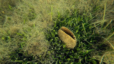 01:50: Inseln Italiens: Sulcis Archipel | 3SAT | 4/16 2026