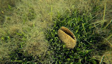 Inseln Italiens: Sulcis Archipel