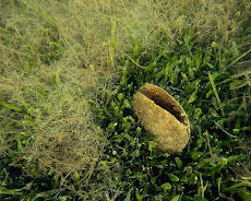 Inseln Italiens: Sulcis Archipel