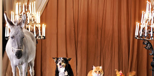 12:55: Die Bremer Stadtmusikanten | 3SAT | 3/8 2026