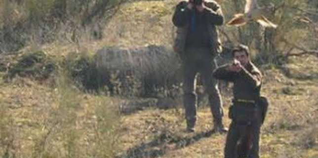 21:30: Lances | Andalucía TV | 12/7 2025