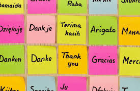 The Story of Human Language: Language Develops beyond the Call of Duty