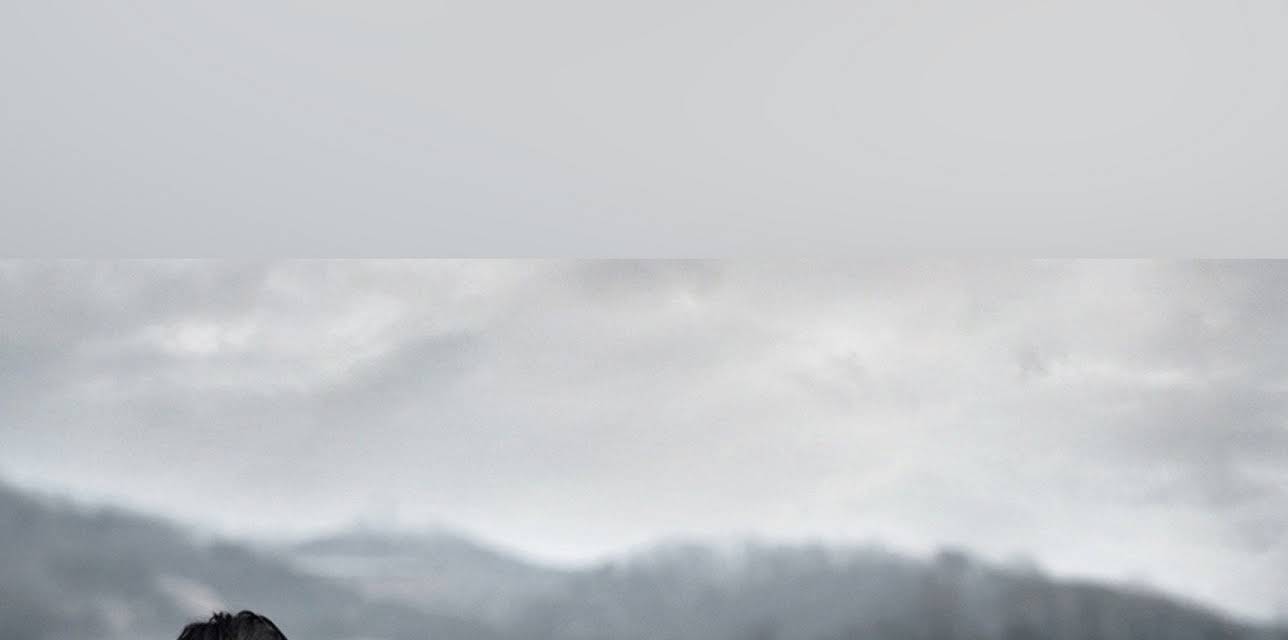 When a Man Falls in Love