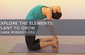 Explore the Elements: Plant to Grow