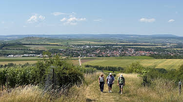 14:00: Expedition in die Heimat | SR Fernsehen | 9/13 2026