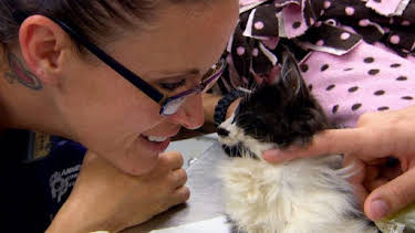 3:00 PM: Dr. Jeff: Rocky Mountain Vet (S2) | Discovery Channel | 7/21 2026