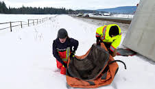 Highway Thru Hell (S11 E12)