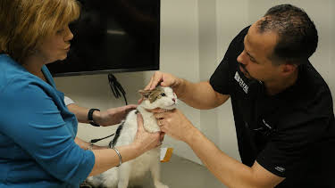 08:30: The Vet Life (S1 E7) (S1) | Animal Planet | 5/30 2026