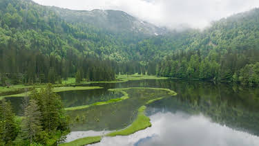 15:00: Seenland Österreich - Die magischen Seen Niederösterreichs | 3SAT | 10/16 2026
