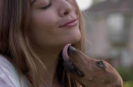 La loca de los perros season-1: La loca de los perros - Chori