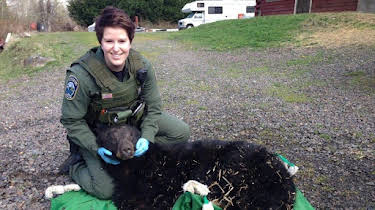 00:45: Rugged Justice (S2 E7) (S2) | Animal Planet | 9/19 2026
