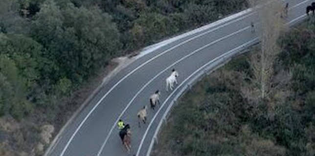 17:32: Camí de Marina. Un conte sobre la voluntat | Canal 33 | 3/4 2026