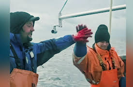 Arctic Waters: Final Trip