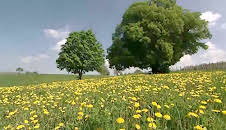 Von Hexenhügeln und heiligen Quellen - Kraftplätze im Burgenland