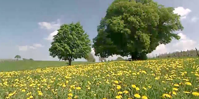 13:11: Von Hexenhügeln und heiligen Quellen - Kraftplätze im Burgenland | 3SAT | 11/25 2025