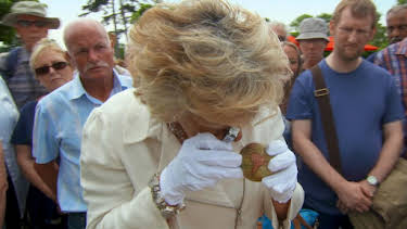 12:00 PM: Antiques Roadshow (S39 E8) (S39) | Yesterday | 10/1 2026