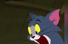 The Tom & Jerry Show: The Complete First Season: Birds of a Feather/ Vampire Mouse