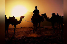 The Best of World's Greatest: Season 1: Lost Cities