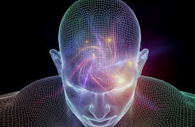 The Great Ideas of Philosophy, 2nd Edition: What Is There?