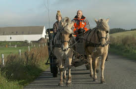 Lyxfällan Danmark: Avsnitt 1