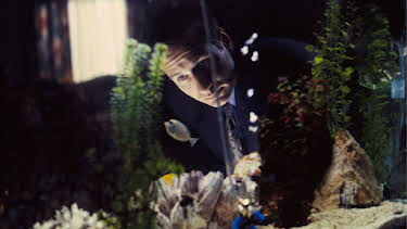 12:00 AM: The X-Files (S1 E22) (S1) | Paramount | 4/8 2026