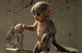 Spy in the Wild: Spy in the Wild, Bad Behavior