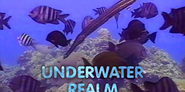 Underwater Realm (2012)