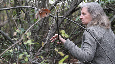 08:00: Caught In The Net (S1 E1) (S1) | ID | 2/27 2026