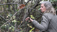 Caught In The Net (S1 E1)