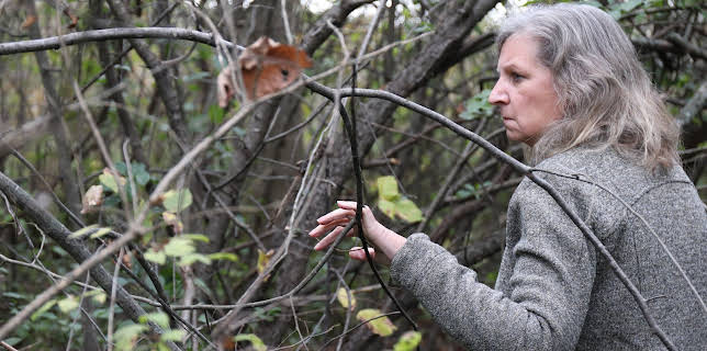 09:00: Caught In The Net (S1 E1) (S1) | Investigation Discovery | 11/5 2025