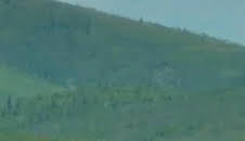 La fiebre del oro: Oro de última hora