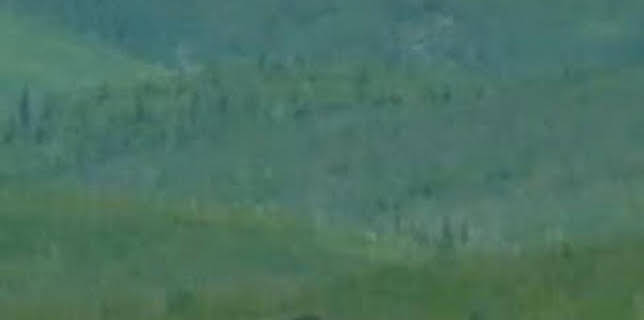 15:57: La fiebre del oro: Oro de última hora | Discovery Max | 3/2 2026