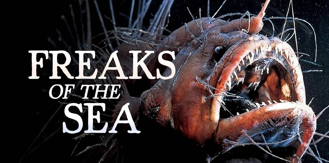 Freaks of the Sea (2026)