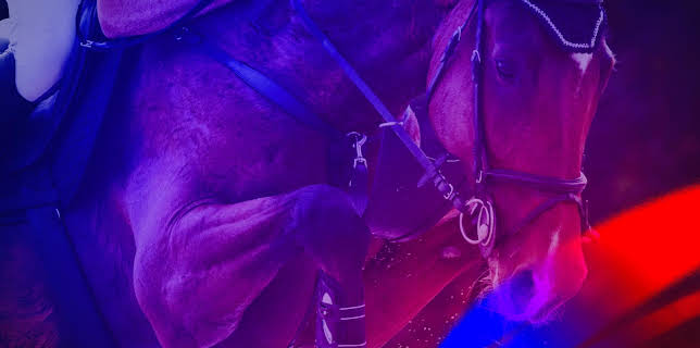 14:43: Ridsport Hopp Lyon | Eurosport 2 | 11/6 2025