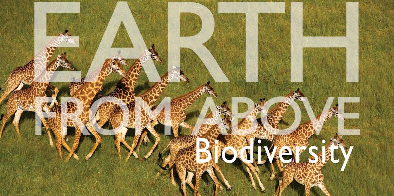 Earth From Above- Biodiversity (2006)