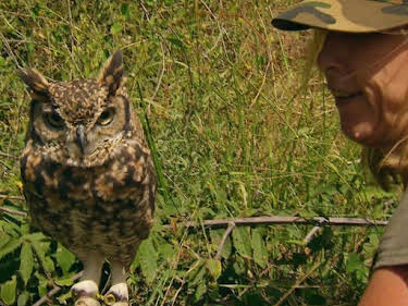 10:50: Das Waisenhaus für wilde Tiere | SWR Fernsehen RP | 8/4 2026