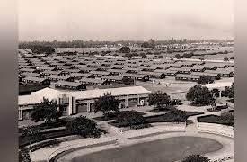 Liberty on Trial in America: Cases That Defined Freedom: Korematsu v. United States