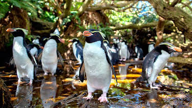 7:00 PM: New Zealand: Earth's Mythical Islands (S1) | BBC Four | 10/12 2026