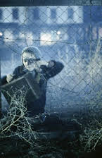 Hannah Taylor Gordon as 