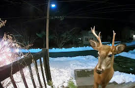 Neighborhood Watch: You Talkin' to Me?