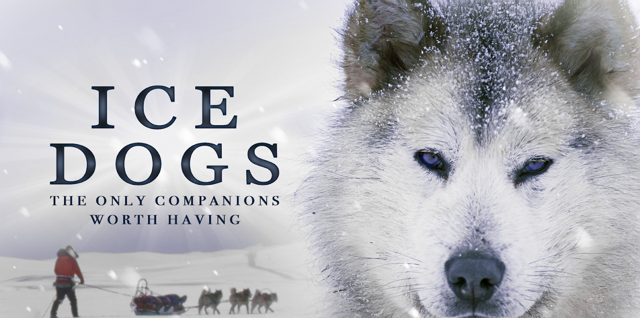 Ice Dogs: The Only Companions Worth Having (2016)