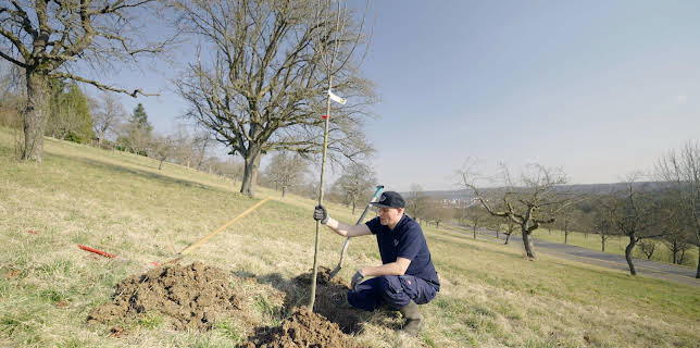 14:00: Handwerkskunst | SR Fernsehen | 3/21 2026