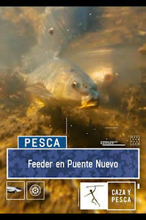 17:40: Feeder en Puente Nuevo | Caza y Pesca | 7/13 2026
