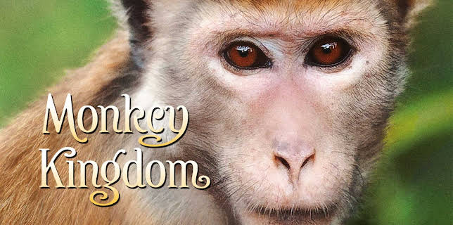 Monkey Kingdom (2015) (Plus Bonus Features) (2015)