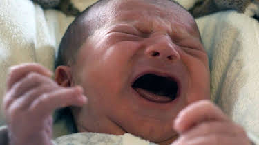 07:00: 42 - Die Antwort auf fast alles | ARD Alpha | 4/18 2026